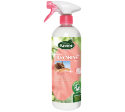 Glanzmittel Easy Shine Ravene