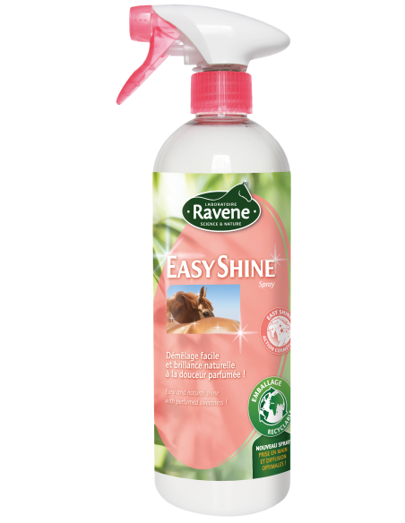 Glanzmittel Easy Shine Ravene
