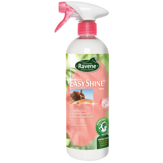 lustrant-easy-shine-de-ravene