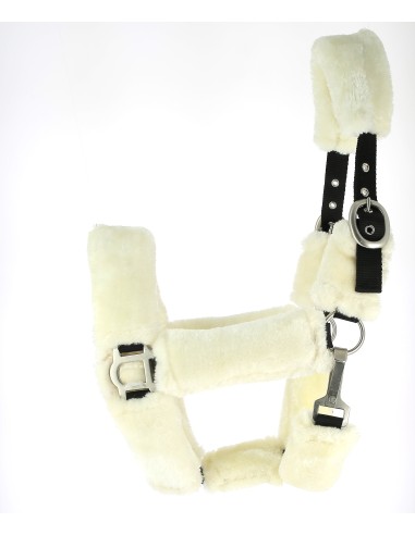 Licol cheval full mouton pour transport avec protection mouton