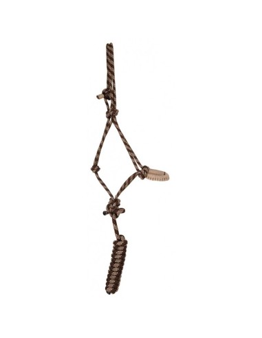 Licol + longe éthologique torsade TdeT Marron / Beige
