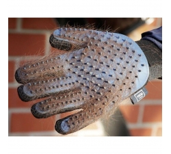 Gant de pansage cheval chien et chat