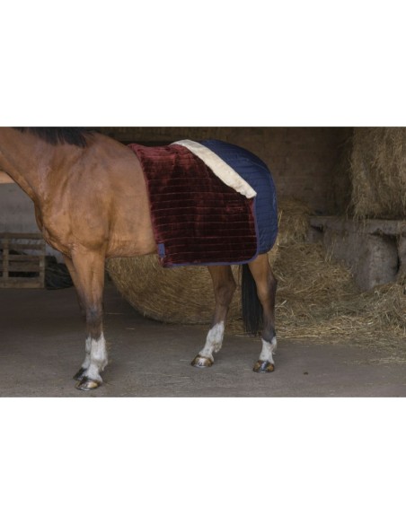 Couverture d'écurie Equithème Teddy doublée mouton synthétique