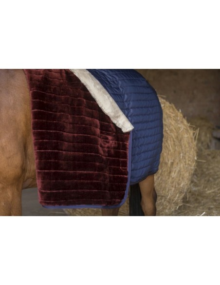 Couverture d'écurie Equithème Teddy doublée mouton synthétique