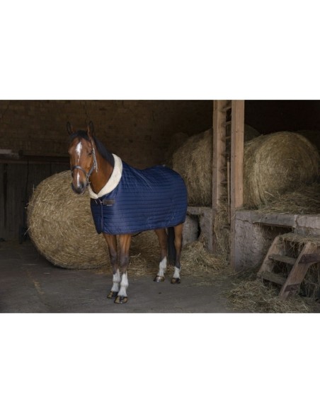 Couverture d'écurie Equithème Teddy doublée mouton synthétique