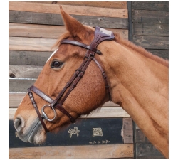 Bridon à pont Chagall TdeT