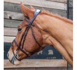 Bridon à pont Chagall TdeT