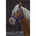 Licol Norton Pro pour cheval de trait bleu roi