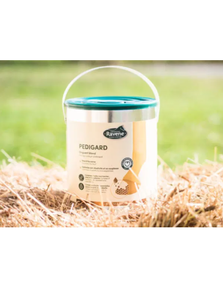 Pedigard onguent blond Ravene