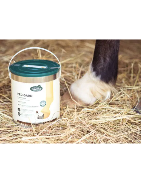 Pedigard onguent blond Ravene