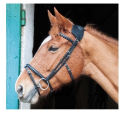 Bridon à pont Vargas TDET