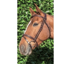 Bridon à pont Raphael TDET