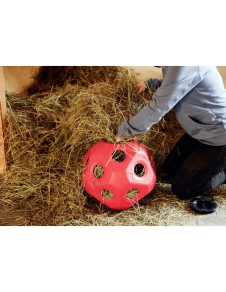 Balle à Foin pour paddock et écurie