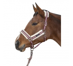 Licol doublé avec fourrure synthétique