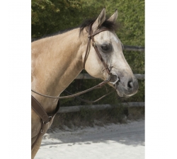 Bridon Westride by Franck Perret Colorado