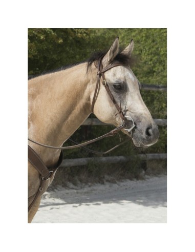 Bridon Westride by Franck Perret Colorado