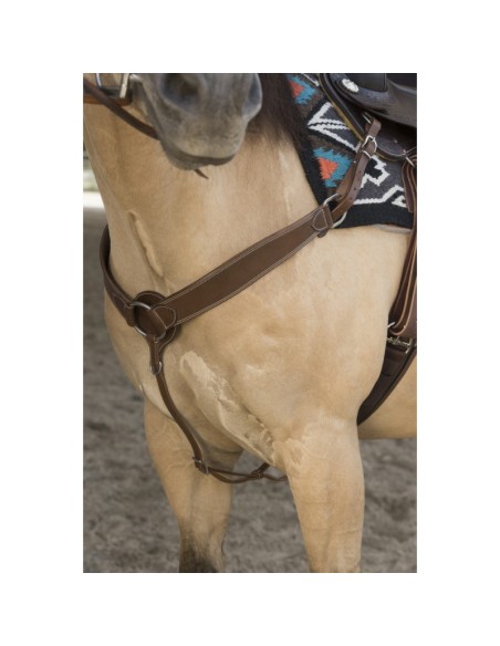 Collier de chasse Westride by Franck Perret Billy