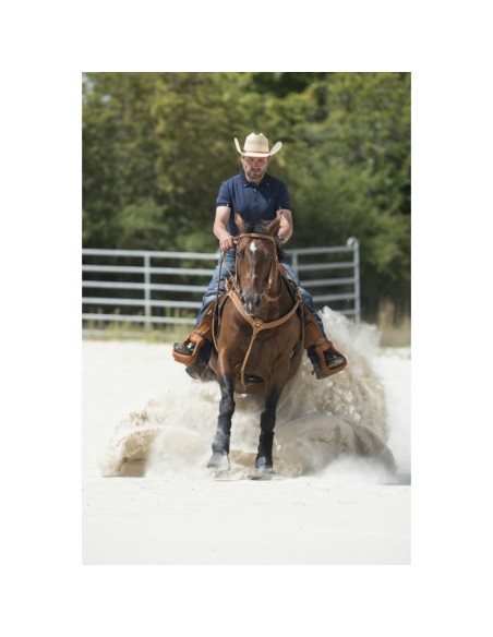Collier de chasse Westride by Franck Perret Aurora