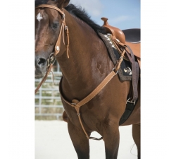 Collier de chasse Westride by Franck Perret Aurora