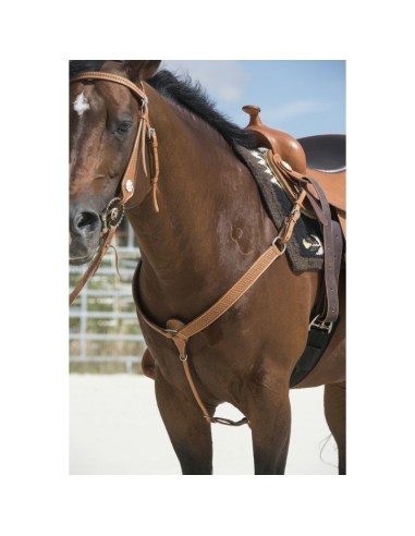 Collier de chasse Westride by Franck Perret Aurora