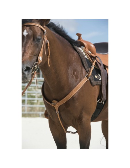 Collier de chasse Westride by Franck Perret Billy