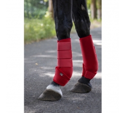 Guêtres néoprène couleur HKM protections cheval Blanc