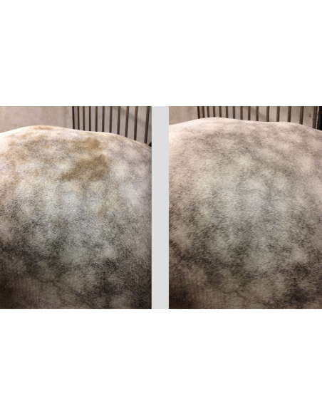 Ravene Shampoing Easy Shine