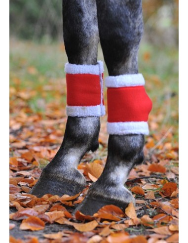 bandages-noel-cheval