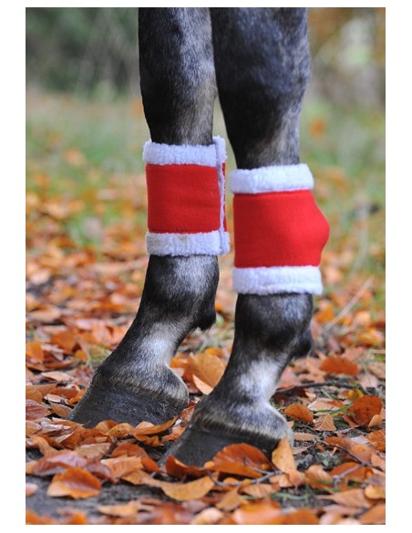 Bandagen Weihnachten Pferd