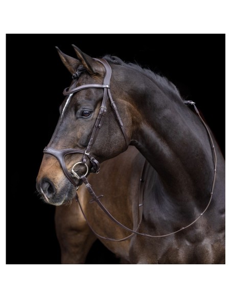 Bridon Sports anatomiques HKM