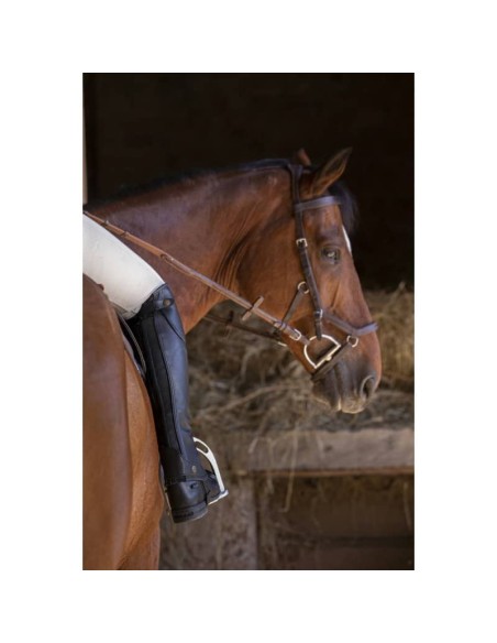 Mini-chaps Equithème Premium