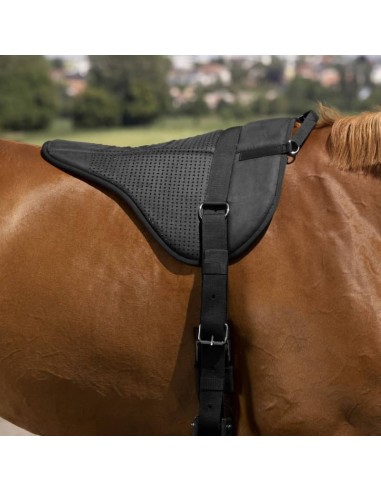 Tapis de monte à cru Norton silicone