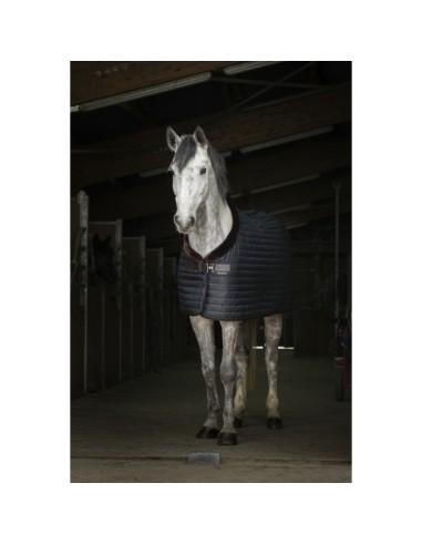 Couverture d'écurie Equithème Teddy doublée mouton synthétique
