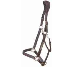 Licol cuir avec plaque têtière Anatomique