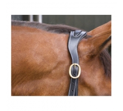 Licol cuir avec plaque têtière Anatomique