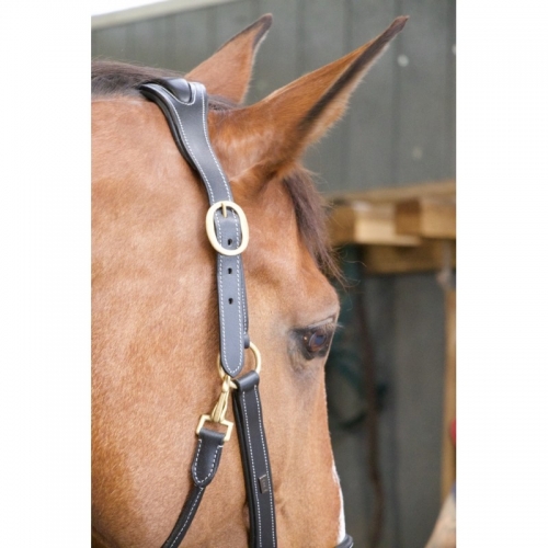 Sac banane bleu de luxe en cuir de cheval pour homme - Sac Banane