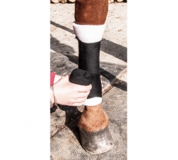 Sous-bandes en mousse  Antérieur TdeT