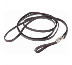 Rênes allemandes cuir mousqueton TdeT