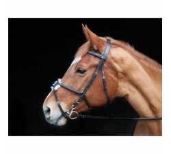 Bridon Sisley muserolle croisée TdeT