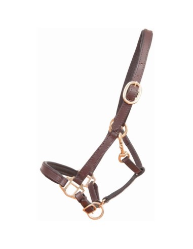Licol cuir foal ou mini TdeT