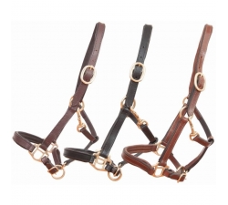 Licol cuir foal ou mini TdeT