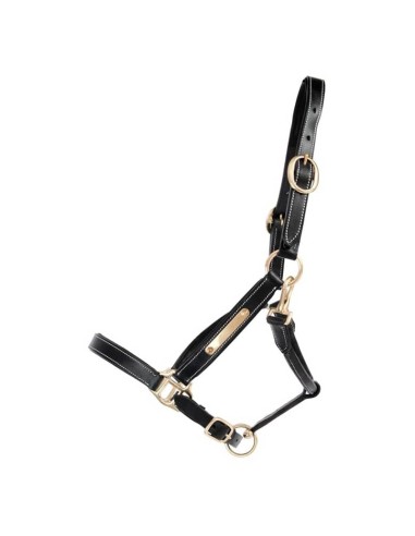 Licol cuir avec plaque TdeT