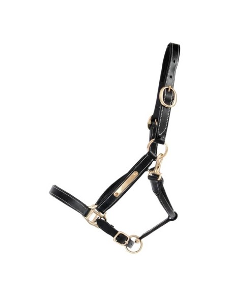 Licol cuir avec plaque TdeT
