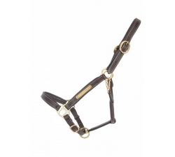 Licol cuir avec plaque TdeT