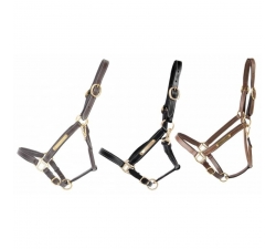 Licol cuir avec plaque TdeT