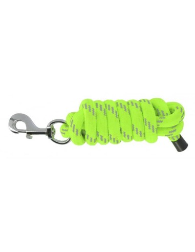 Longe Equithème High Visibility