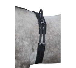 Surfaix -Canvas- avec poignées HKM