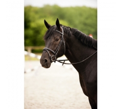 Bridon réglable cuir Norton