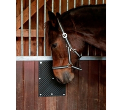 Plaque grattoir pour box