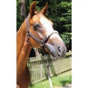 Licol Treadstone Cuir Richtan avec corde